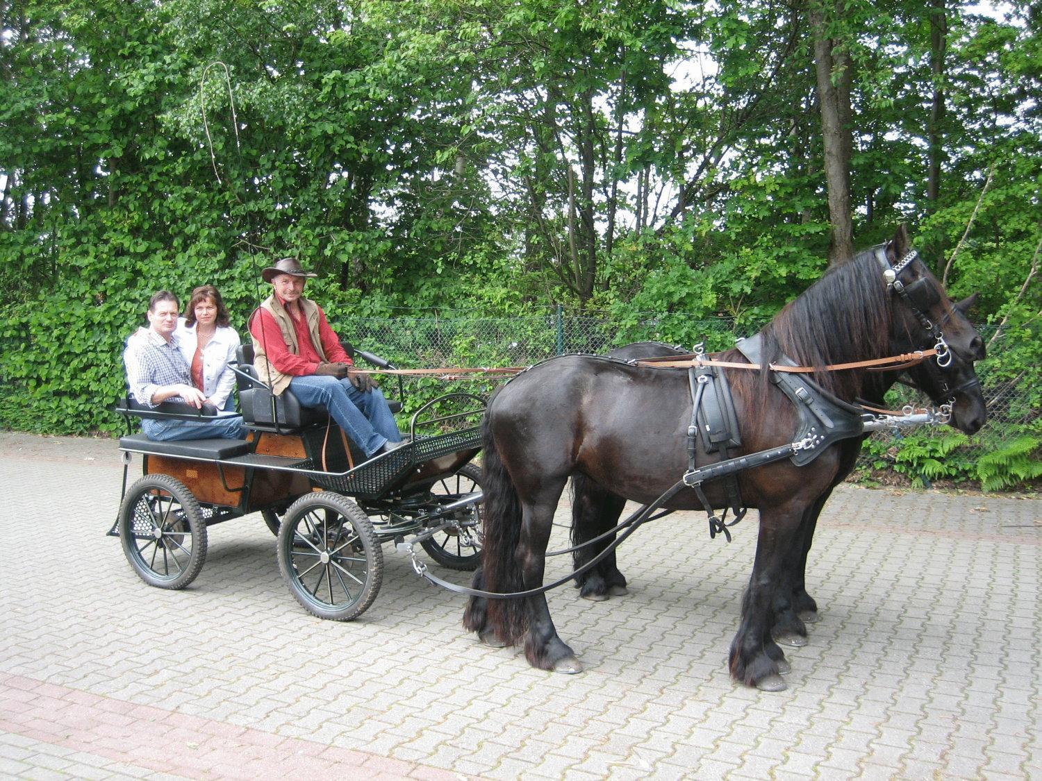 Hotel Graf Balduin Esterwegen Buitenkant foto